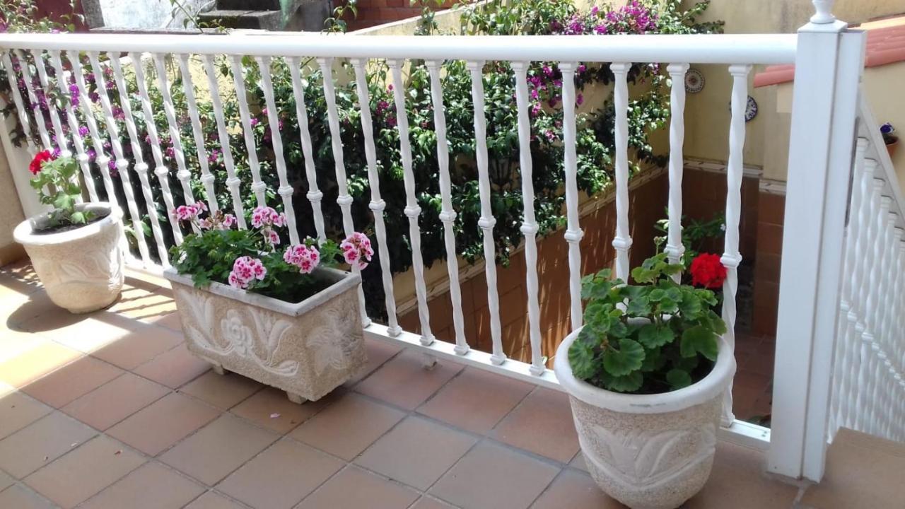 Boa Vista Apartment